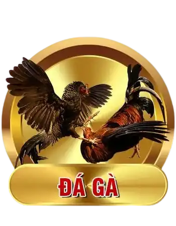 đá gà Hitclub